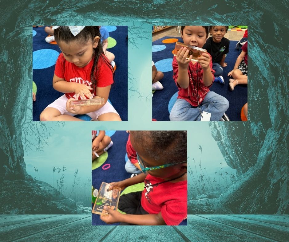 Collage of pictures. 