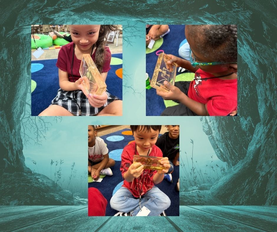 Collage of pictures. 