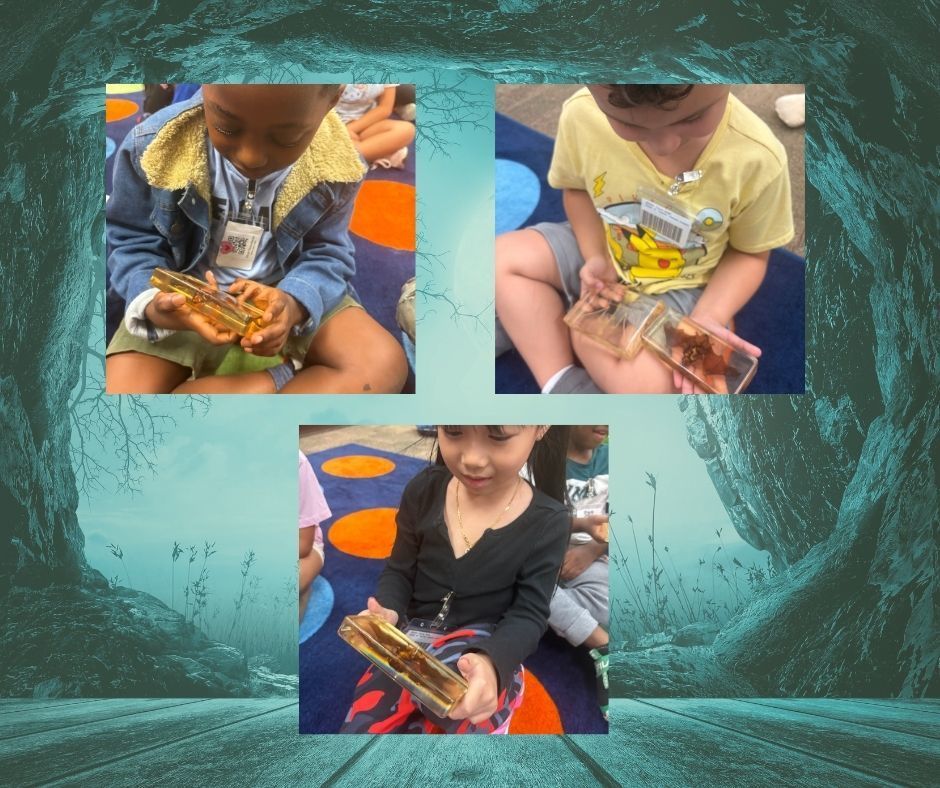 Collage of pictures. 