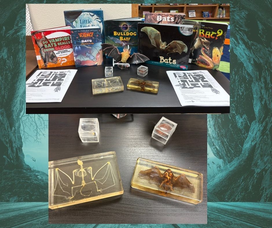 Collage of pictures. 