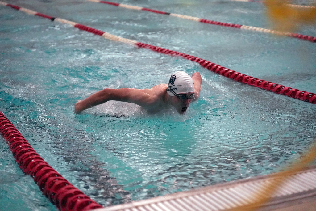 Chaparral swimmer