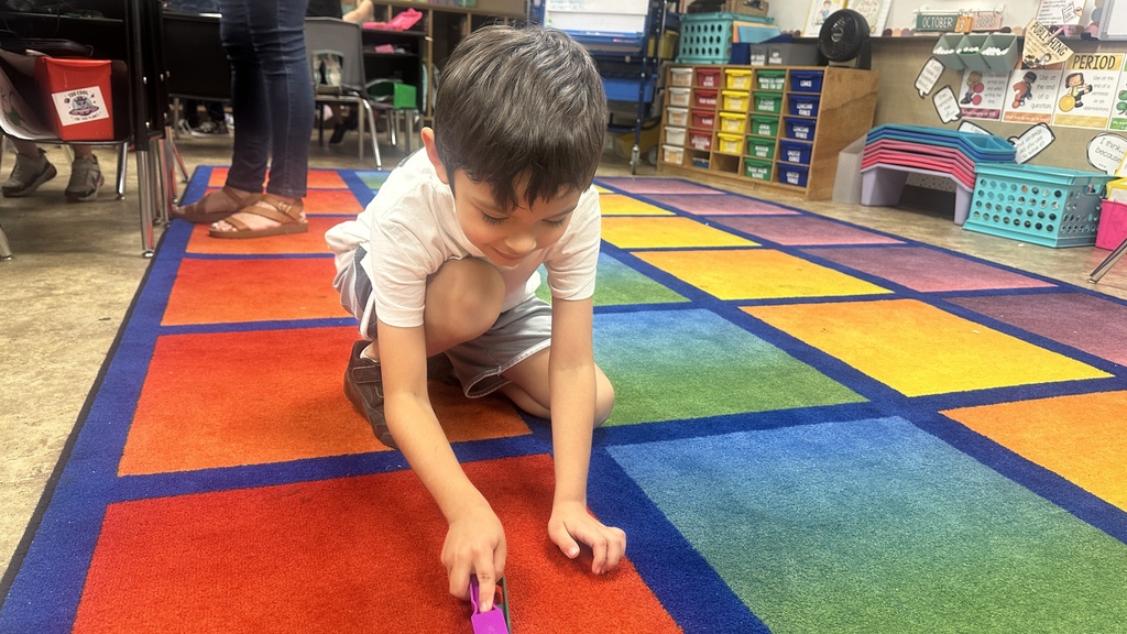 student push magnets on carpet