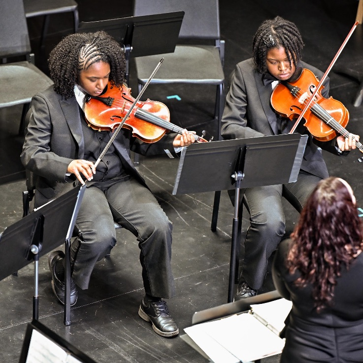 violas