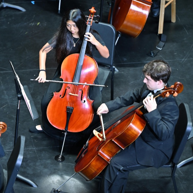 cellos