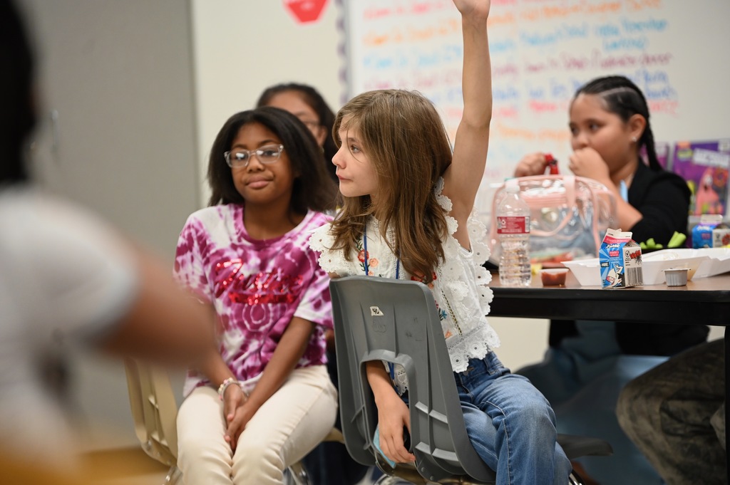 Interim superintendent at Willow Springs ES