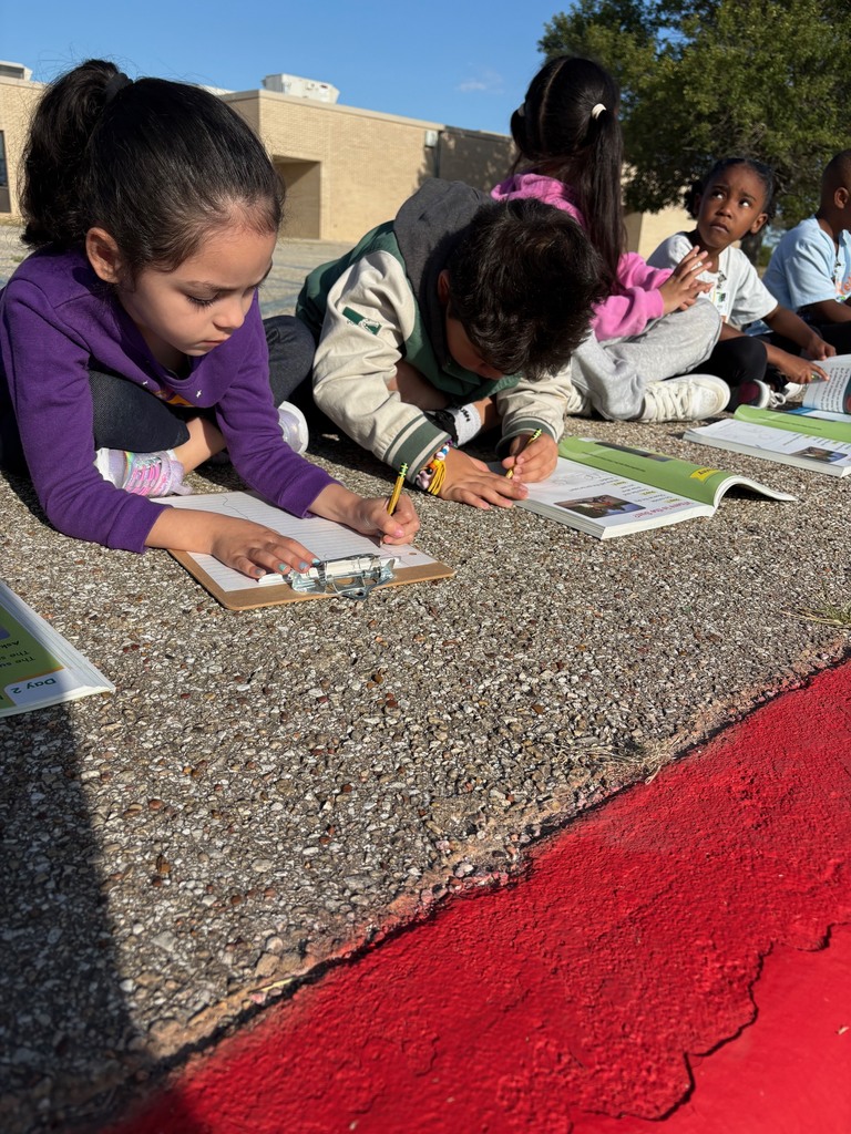students outside observing sun