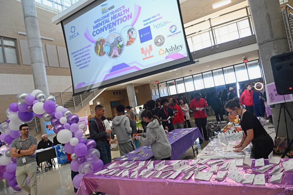 Mental health convention