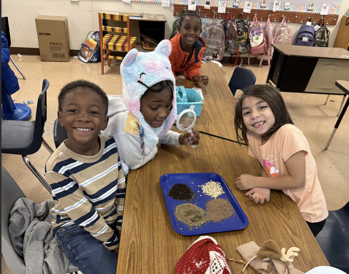 Students doing Soil exploration