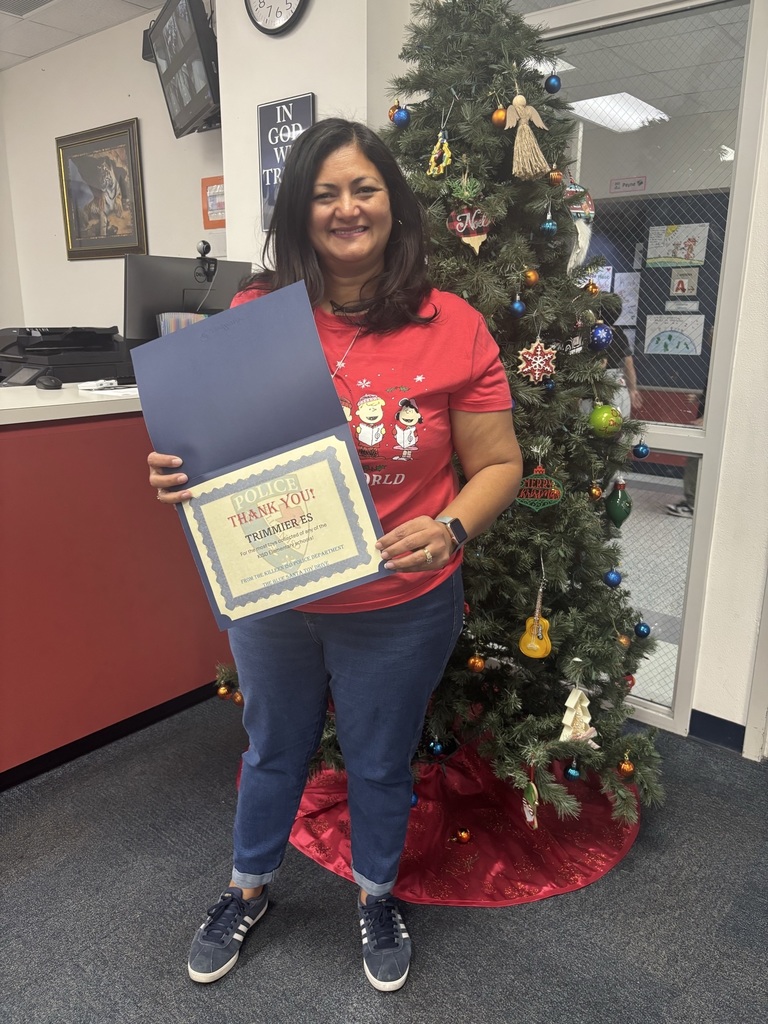 Toy drive Trimmier ES