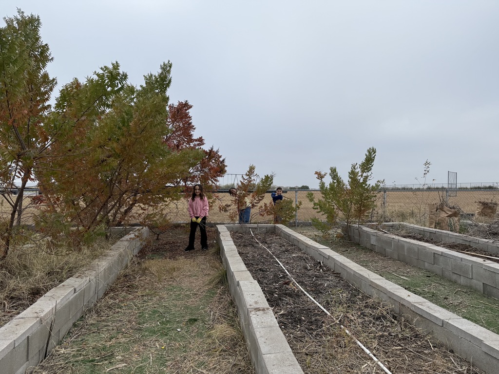 Student working in garden
