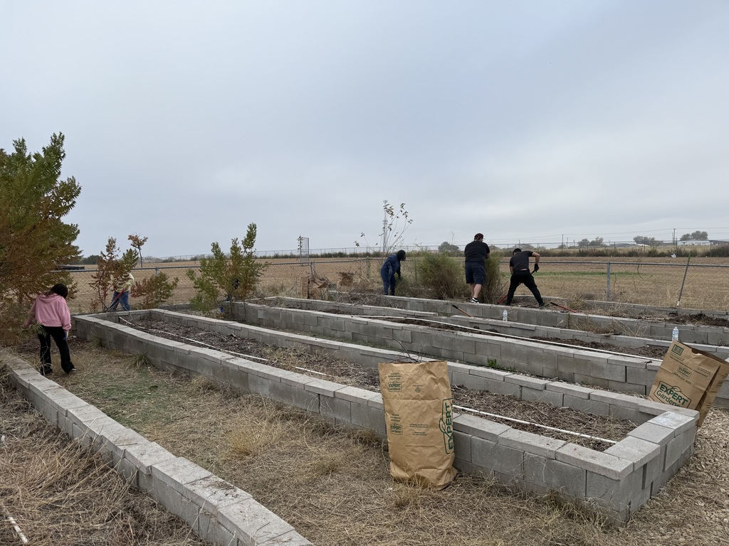 Student working in garden