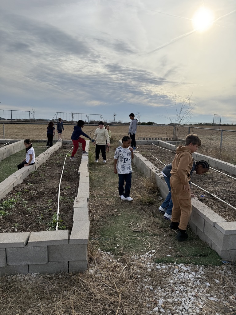 Student working in garden