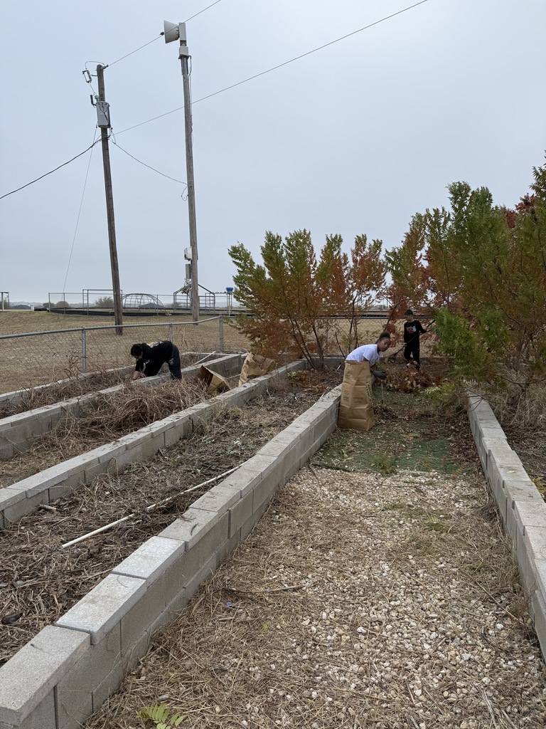 Student working in garden
