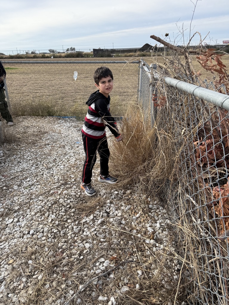 Student working in garden