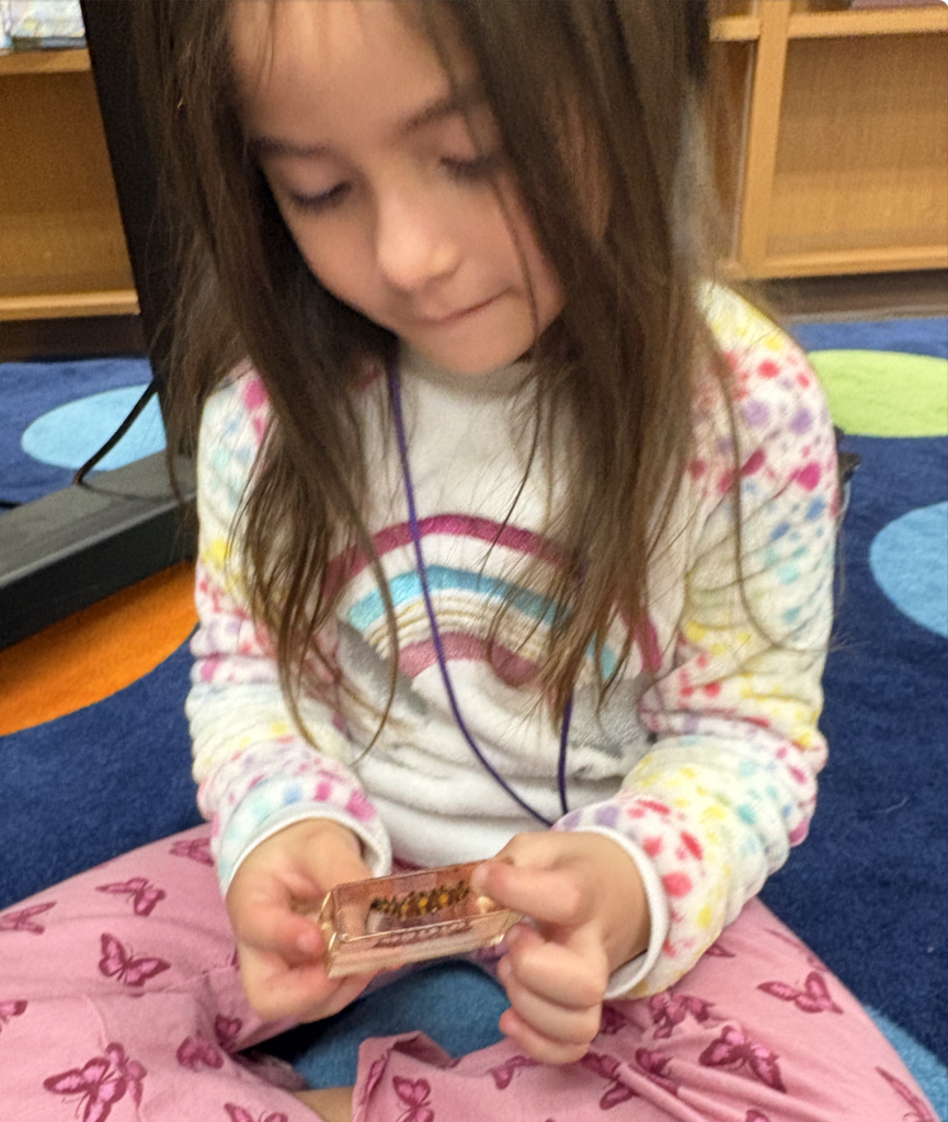 Student looking at butterfly