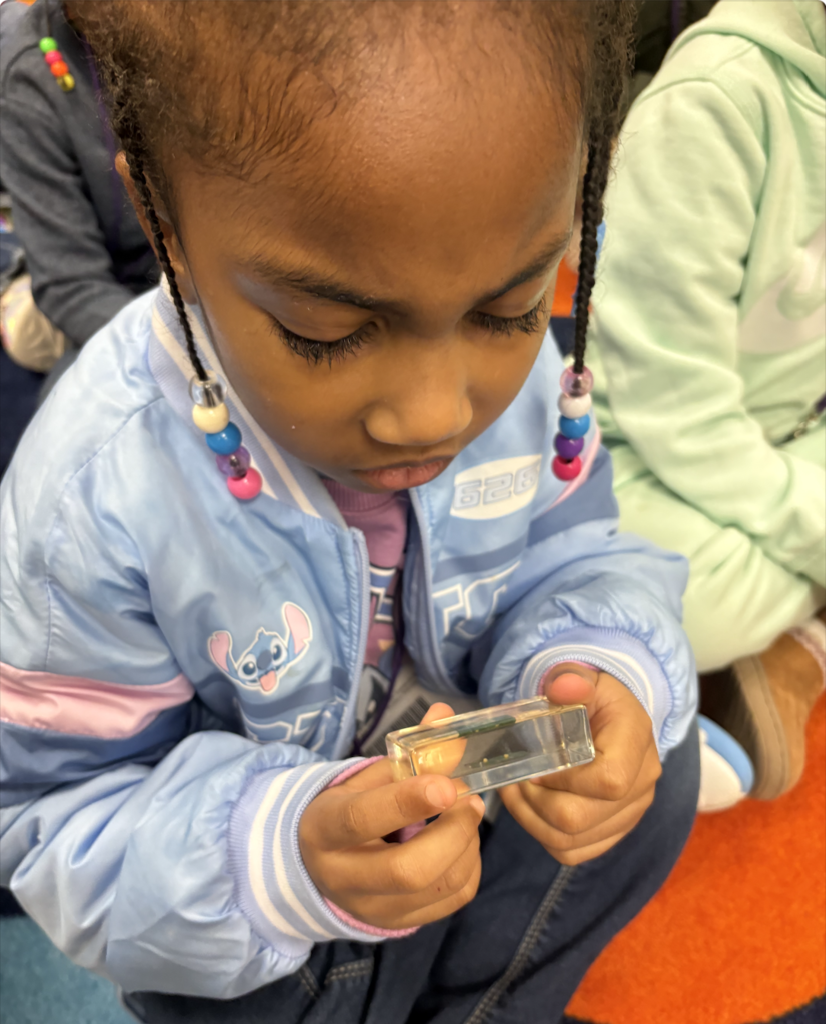 Student looking at butterfly