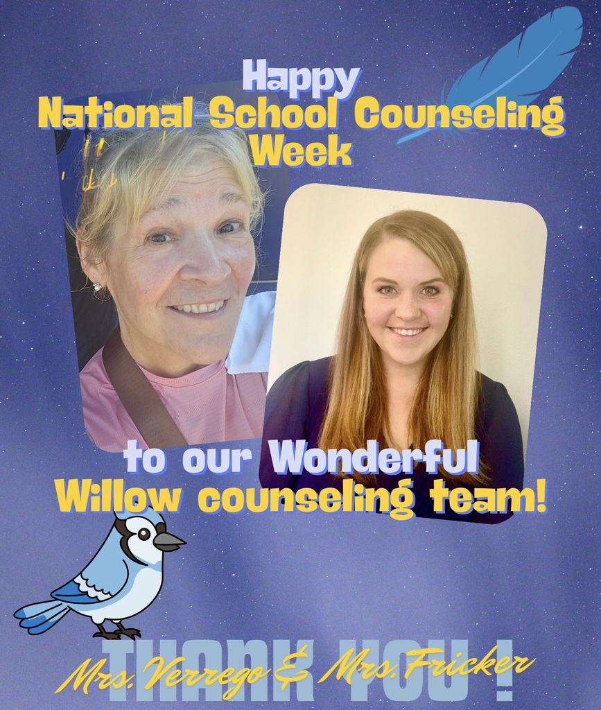 school counselor flyer