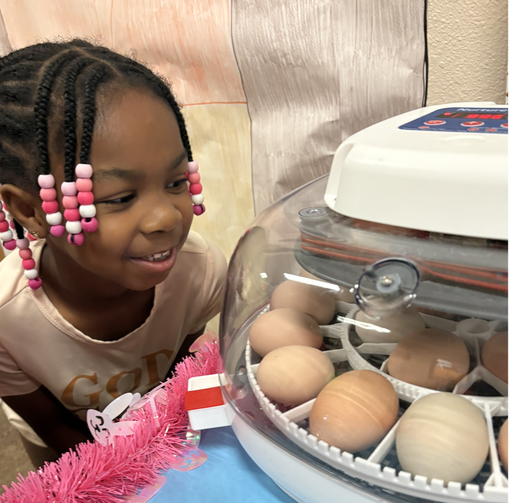Students looking at eggs