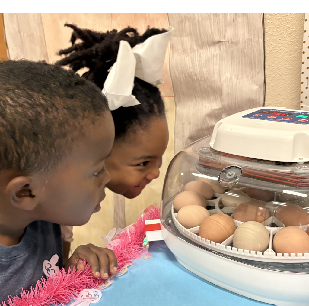 Students looking at Eggs