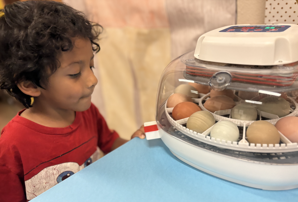 Students looking at eggs