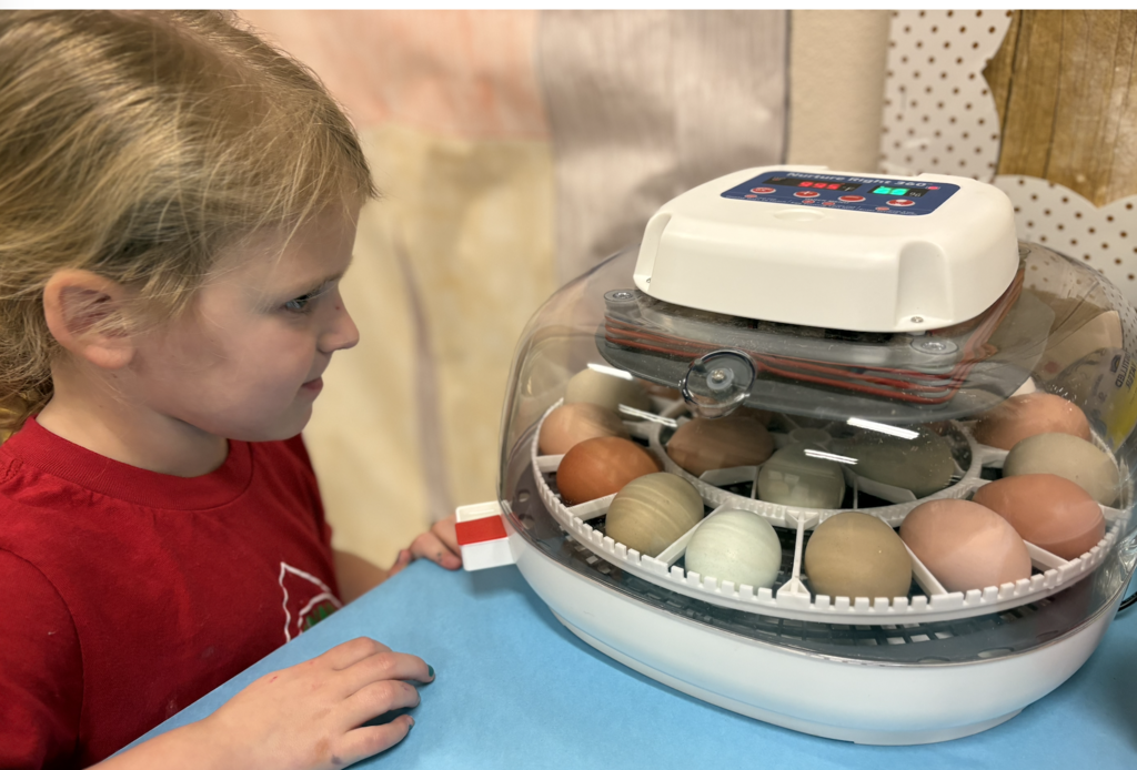Students looking at eggs
