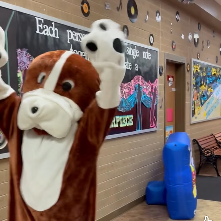 Drake Bulldog costume