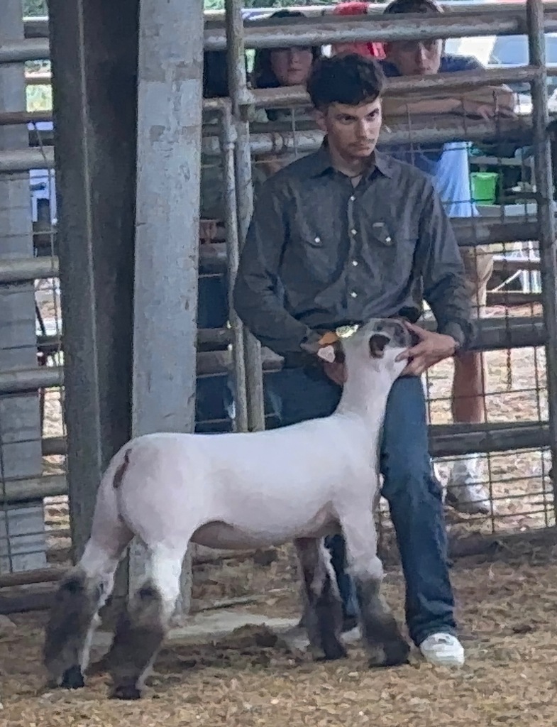 student holding goat at FFA showing
