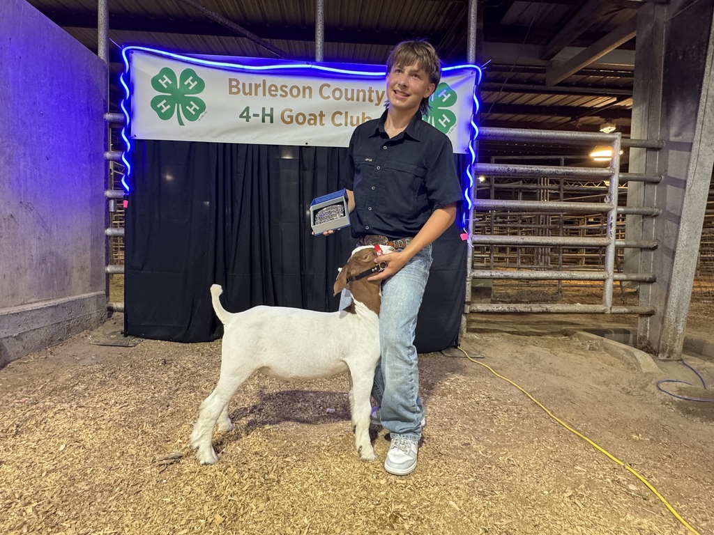 student holding belt buckle and goat smiling at camera