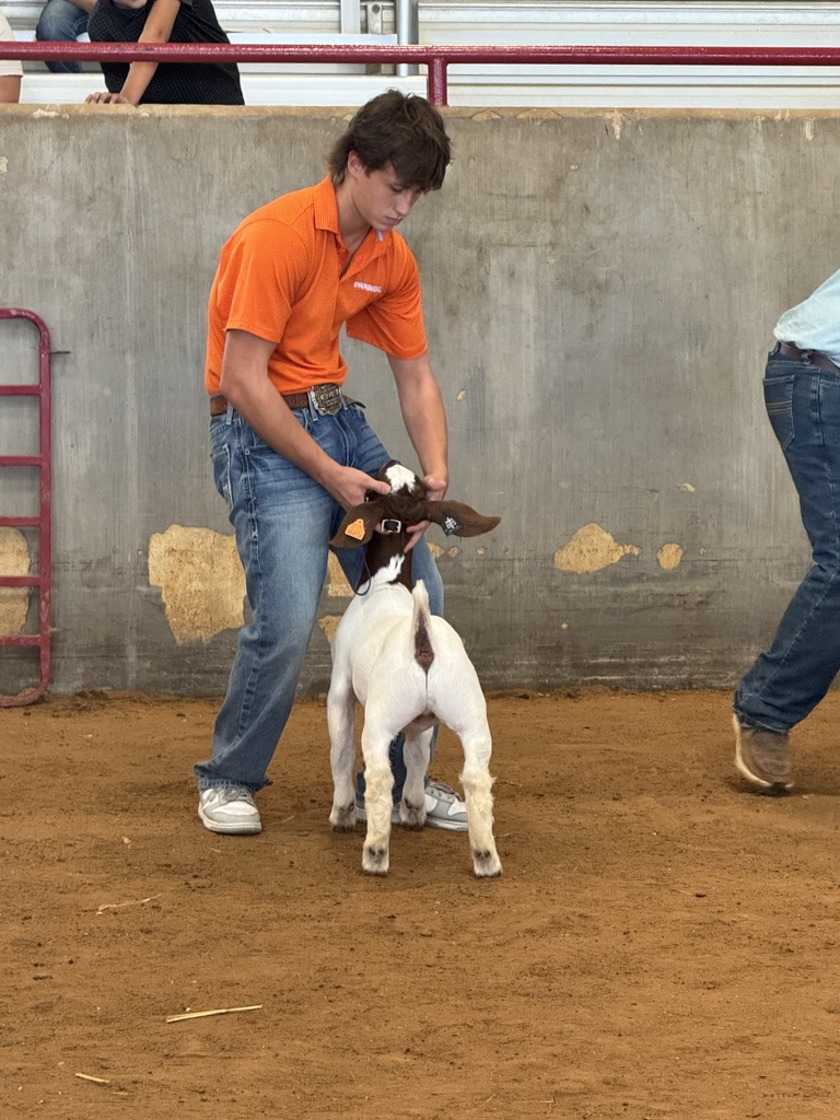 student holding goat at FFA showing
