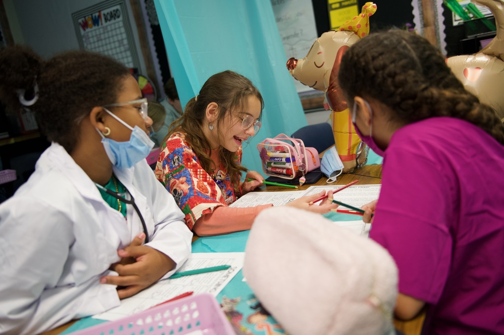 Rock Your School Meadows pet hospital