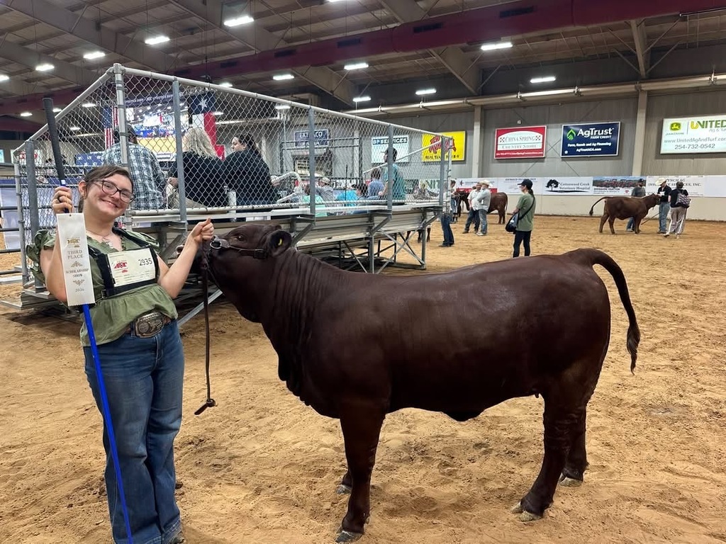 A woman wearing glasses and holding a certificate stands with a brown cow in a sandy area.