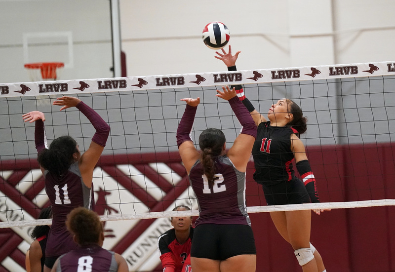 Volleyball play at the net