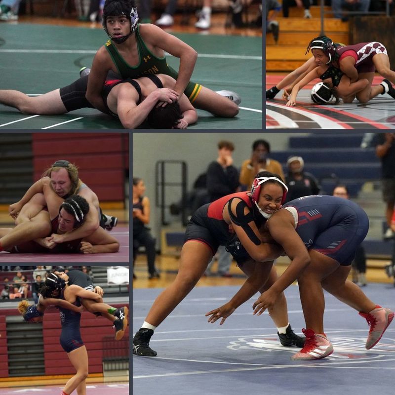 Wrestling collage