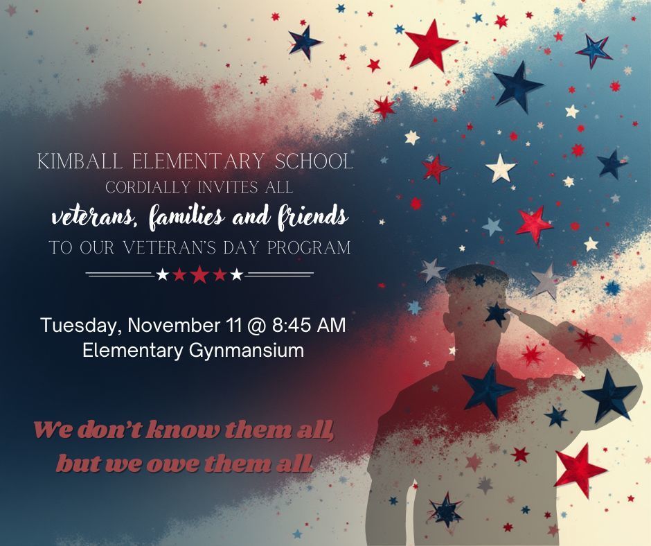 flag and stars with soldier