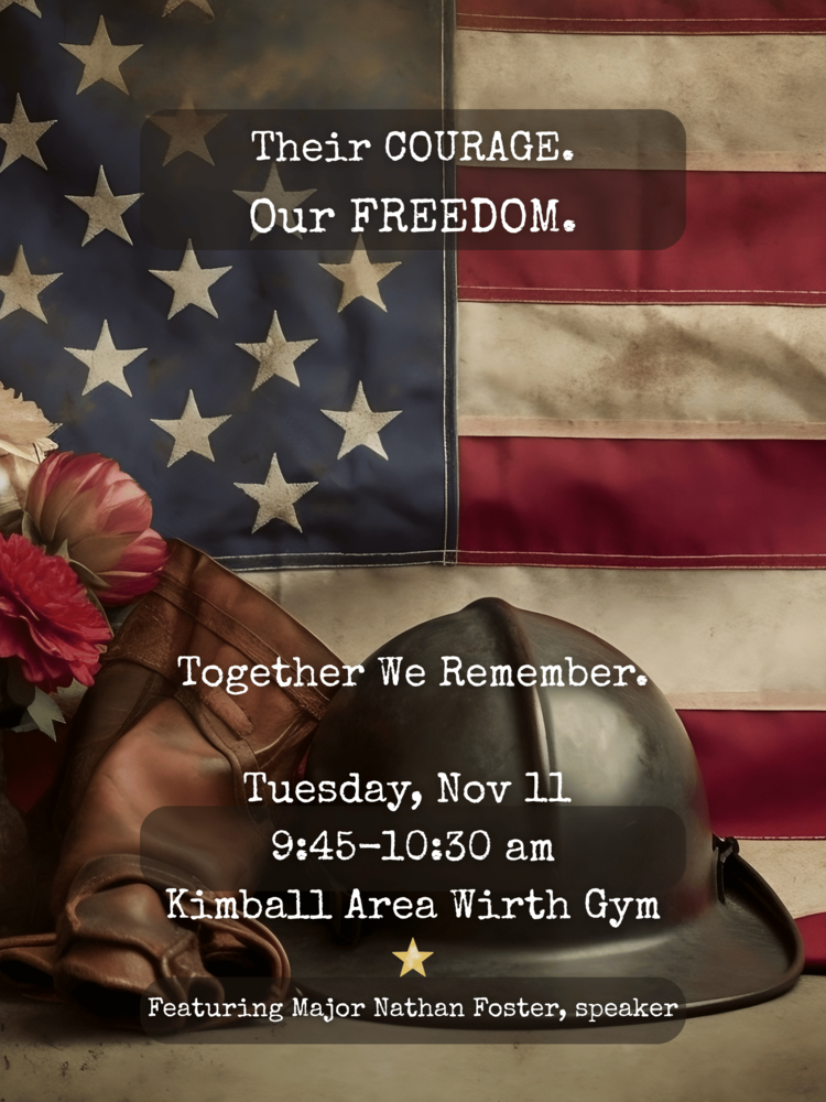 flag/helmet background Together Veterans day program invitation