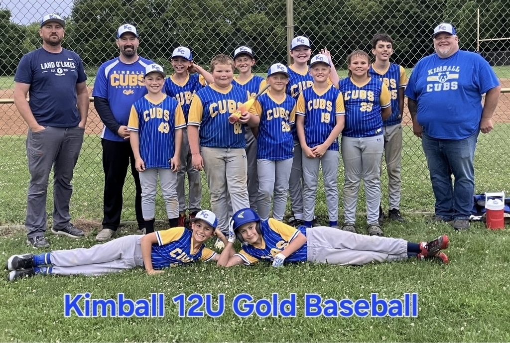 Kimball 12U Gold baseball 