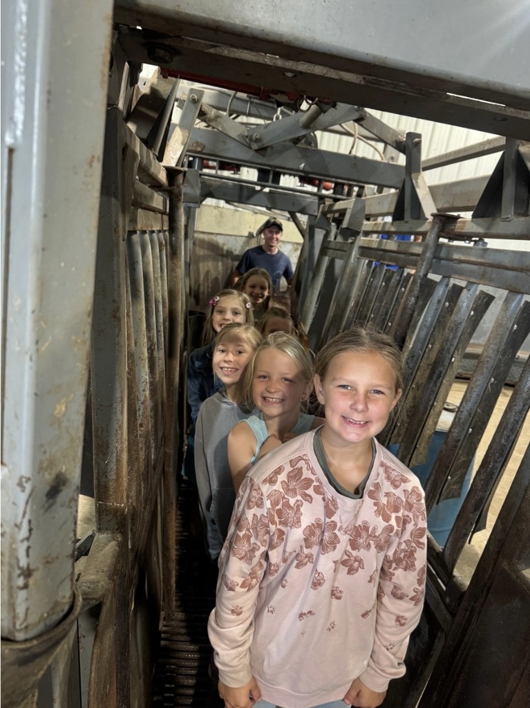 line of girls near feeding stalls
