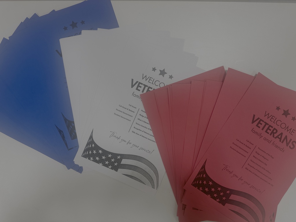 veterans day programs