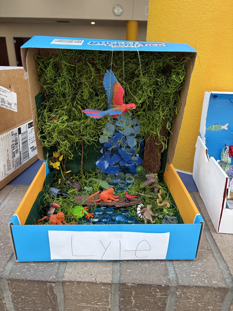 tropical forest biome