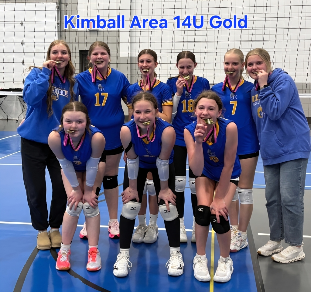 Kimball 14U Gold