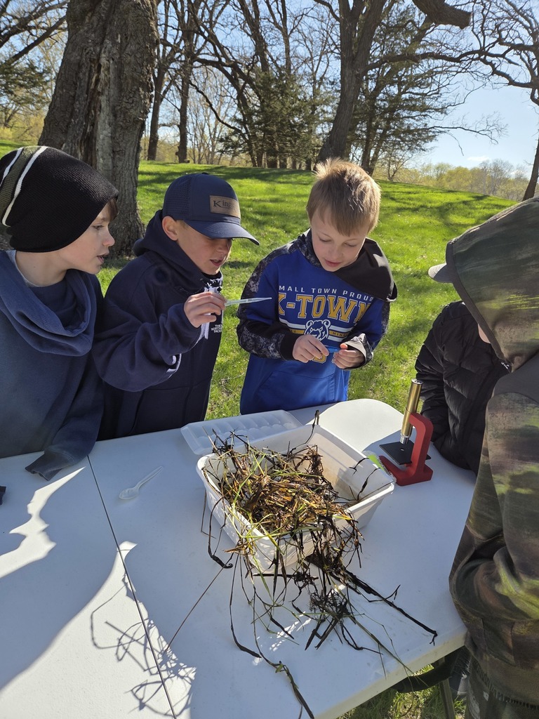 students testing water and weeds