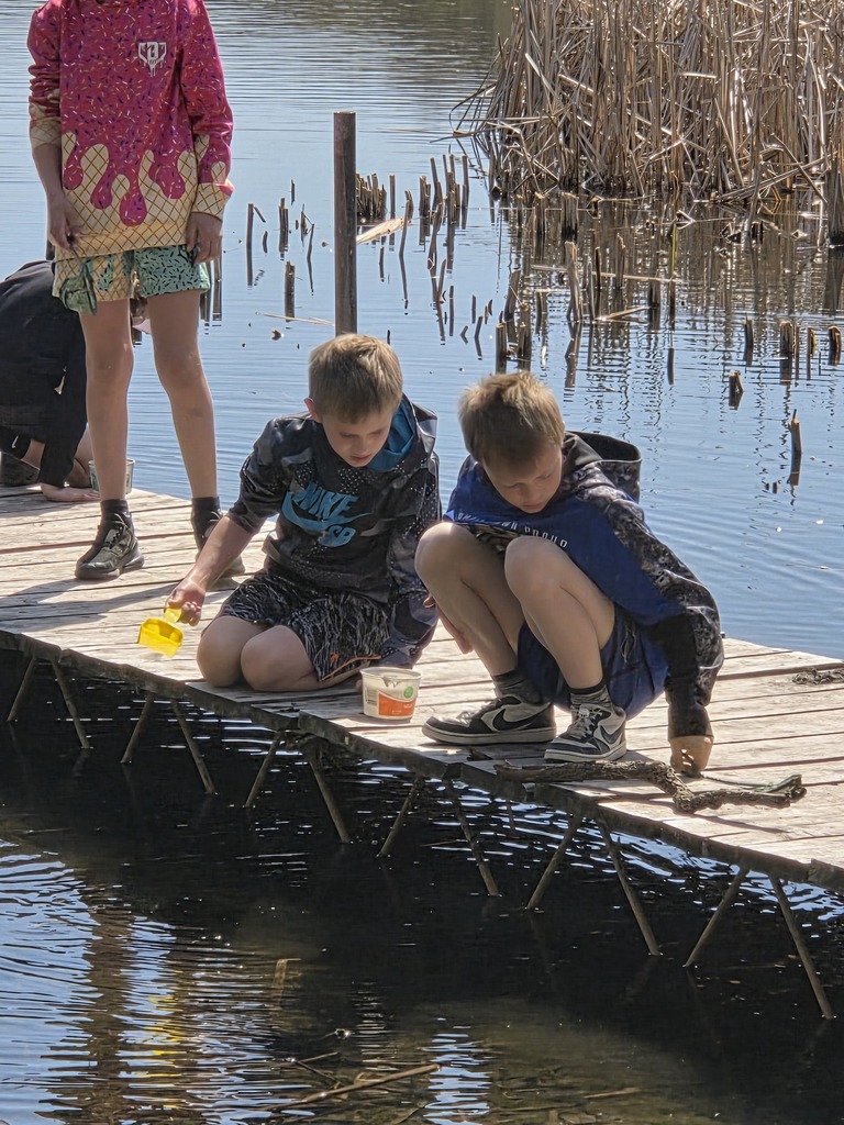 students collecting water samples from dock