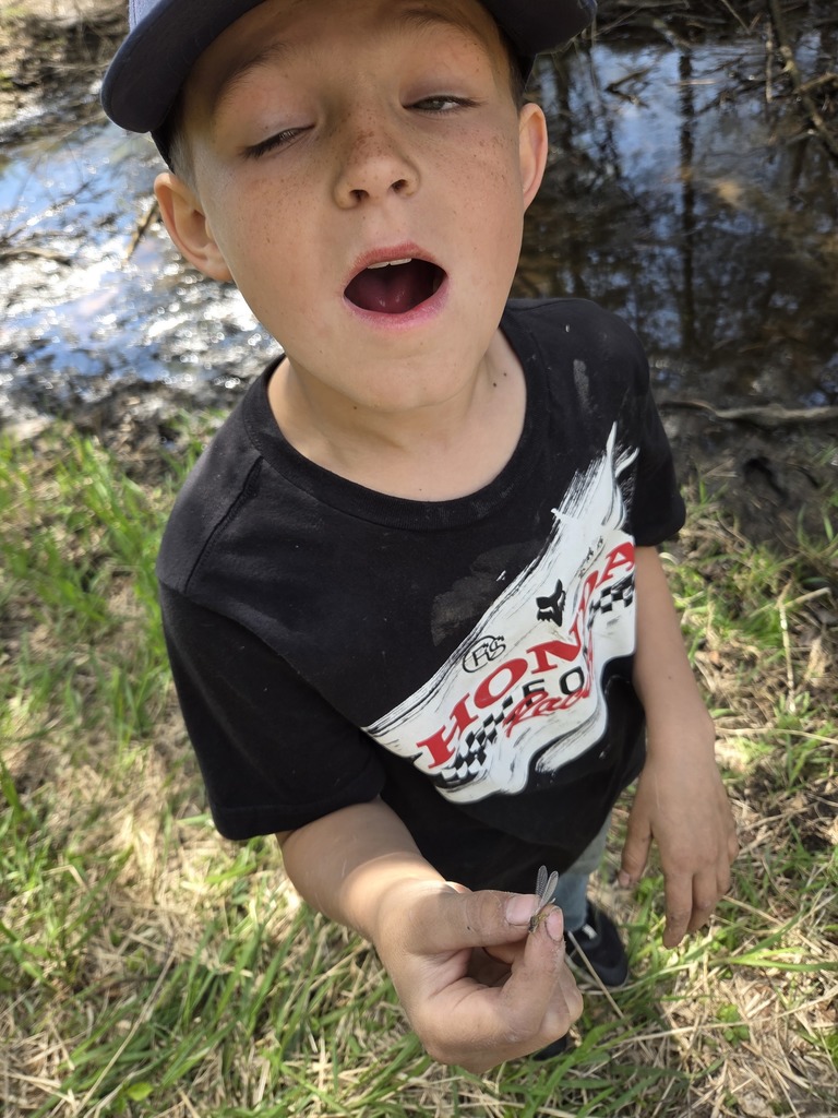 student holding mayfly