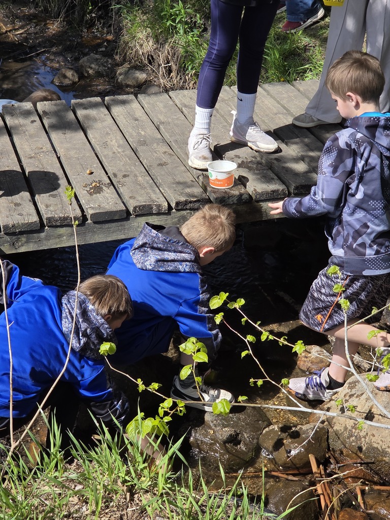 students collecting water samples