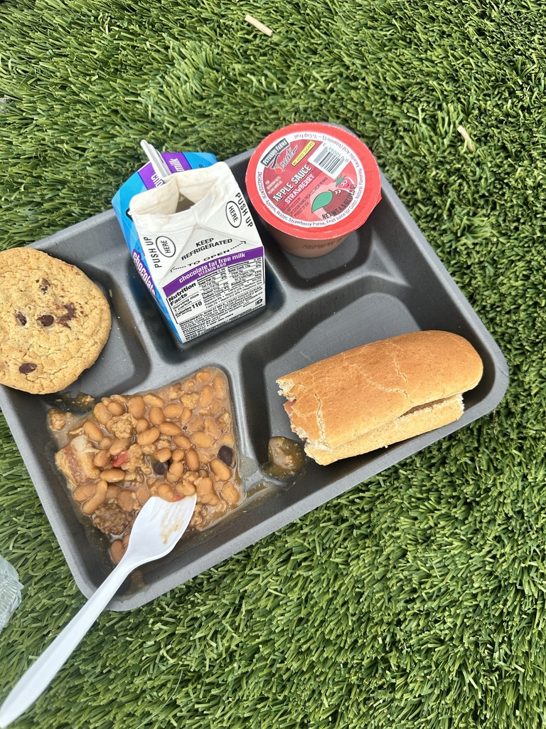 tray of lunch food