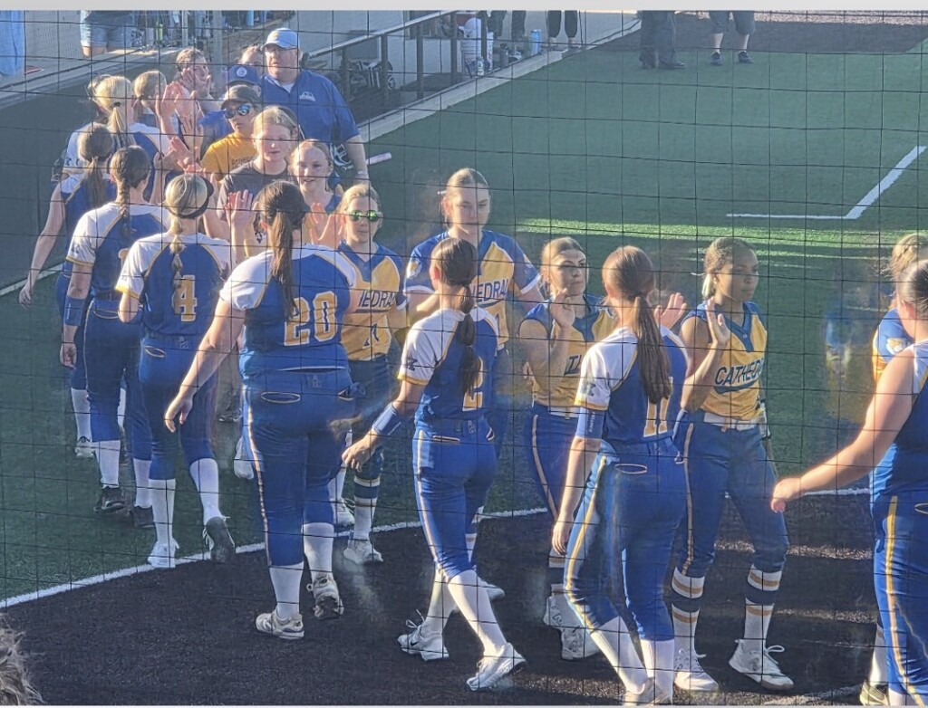 Cubs Softball