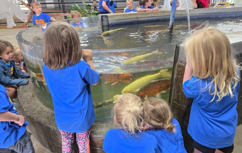Cubs Club 
