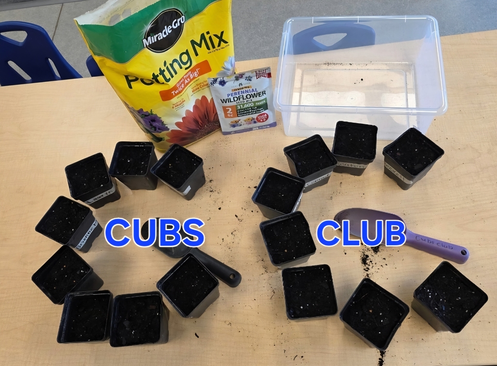 Cubs Club