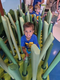 Cubs Club