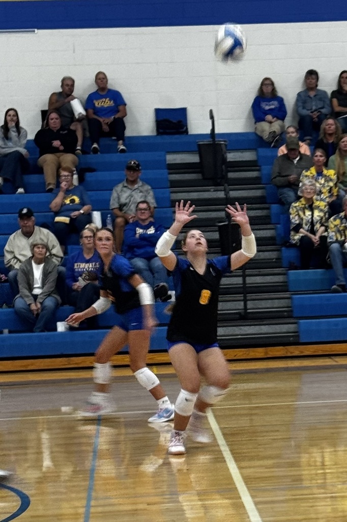 VB